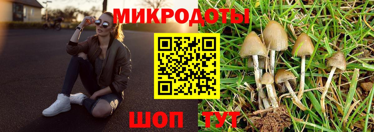 Галлюциногенные грибы Cubensis Карталы